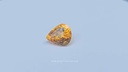 vimeo - [Video]