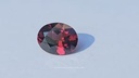 vimeo - [Video]