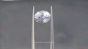 vimeo - [Video]