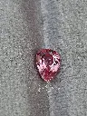 Natural Padparadscha [PD001]